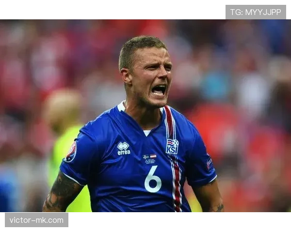 冰岛西于尔兹松核心迎来可持续发展新机遇与挑战